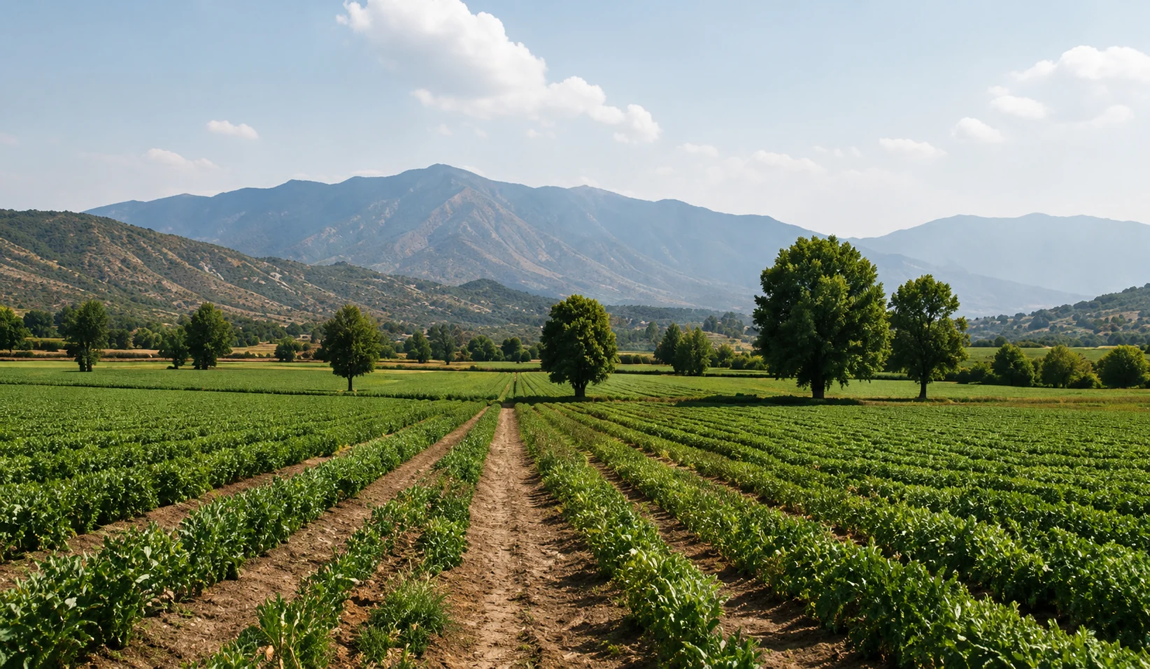 Propiedades agropecuarias